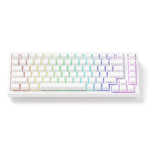 Bàn phím cơ AKKO TAC75 White HE AstroAim Magnetic Switch