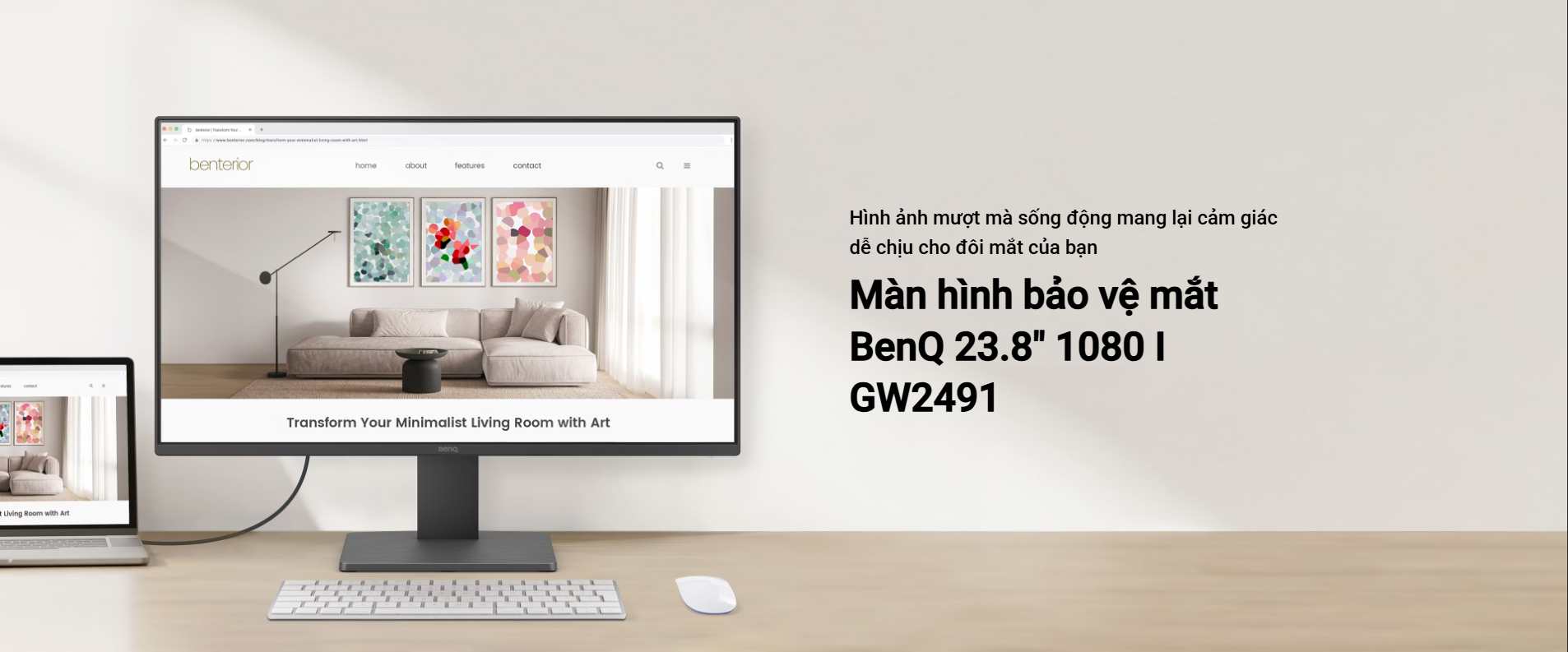 Màn hình bảo vệ mắt BenQ GW2491 23.8 inch FHD IPS 100Hz